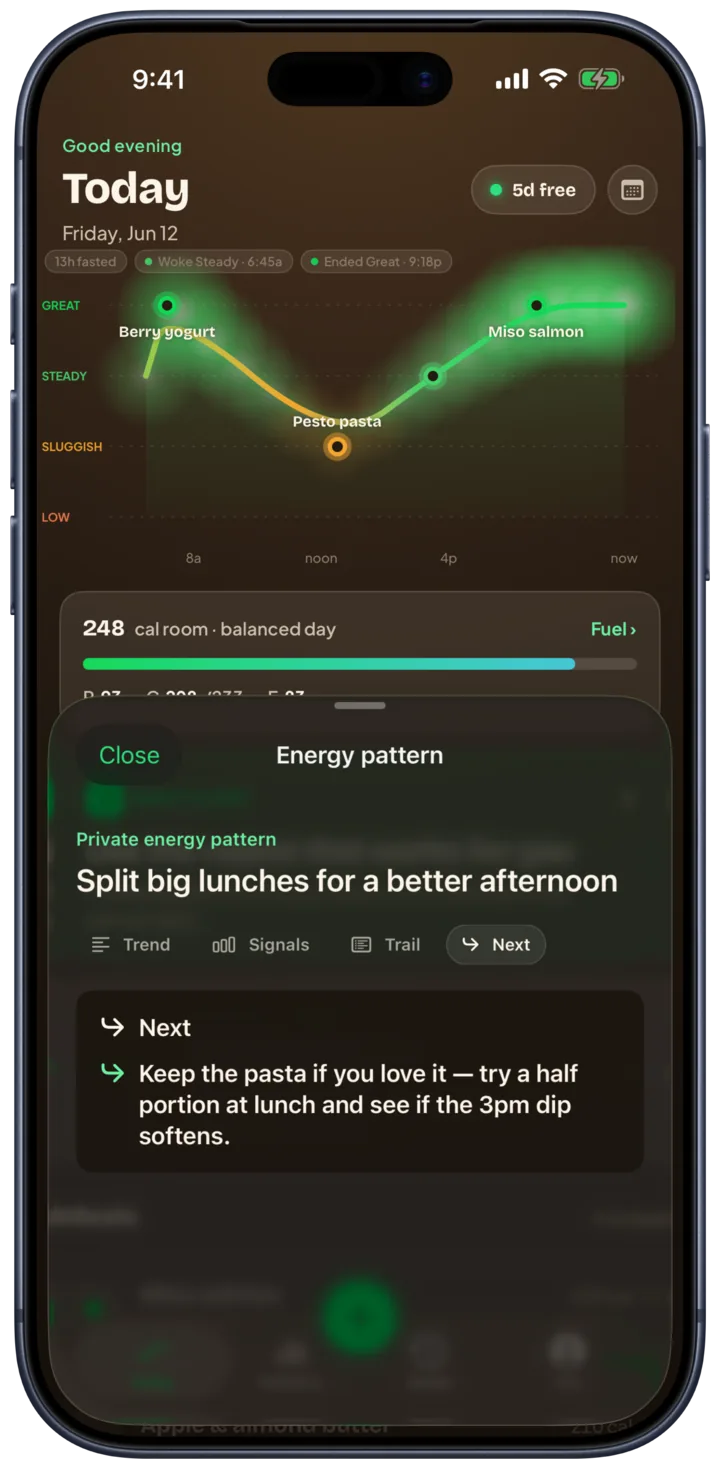 Riveryn private energy pattern sheet in the dark theme: Split big lunches for a better afternoon, with a concrete next step to try at the next meal.